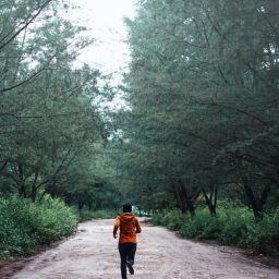 Jogger in wooded area