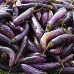 Close up of a bunch of eggplants.