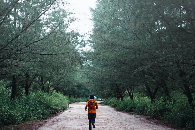 A jogger running in a park surrounded by trees.
