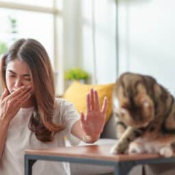 Woman with allergies putting a hand up to her cat